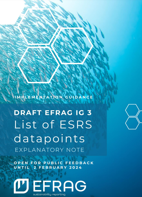 Draft efrag implementation guide 3 on the european sustainability