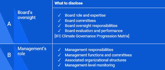 Governance Checklist.png